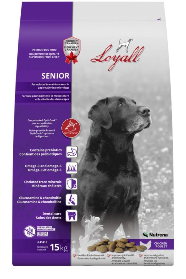 Loyall Senior Dog